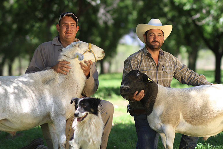 Producción de contenido institucional en campo con ganaderos