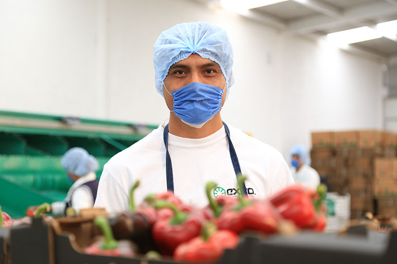 Producción institucional en planta de alimentos